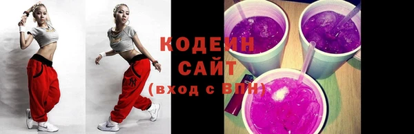 крисы Богородицк