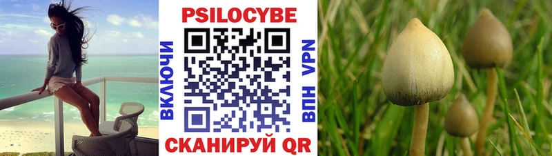 Галлюциногенные грибы Cubensis  Болгар 