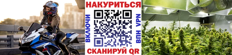 Шишки марихуана план Болгар