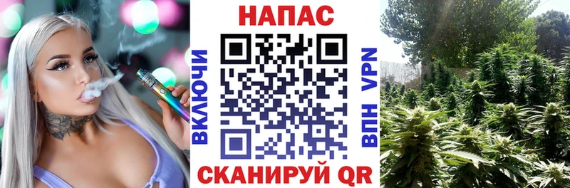 Шишки марихуана VHQ  shop Telegram  Болгар 